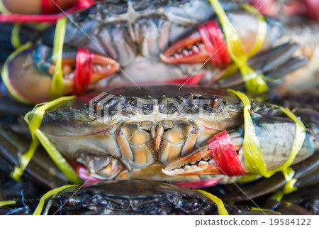 Fresh crabs on sale 19584122