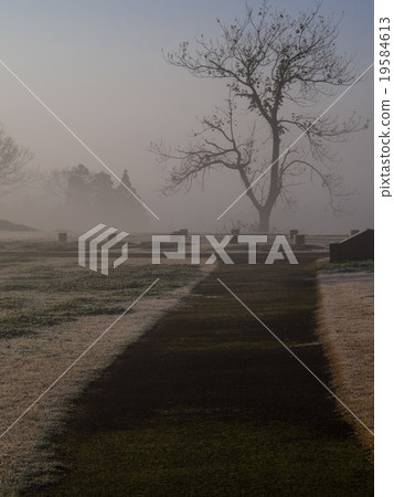 Fantasy hill 19584613