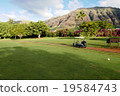Tropical golf in Hawaii 19584743