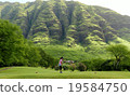 Tropical golf in Hawaii 19584750