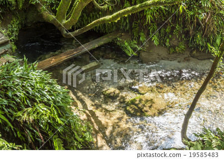 Flow of spring water and tread plate 19585483