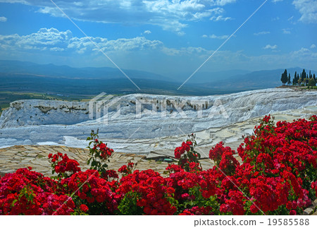 Pamukkale view with red flowers in foreground 19585588