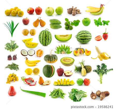 fruit collection isolated on white background 19586241