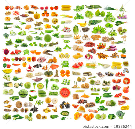 collection of food collection of food 19586244