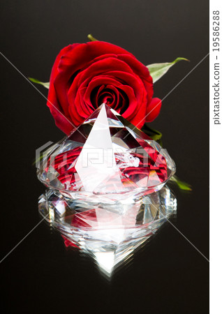 diamond 19586288