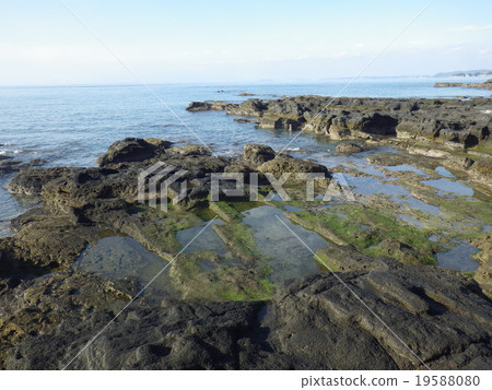 Araihama Coast (Miura City, Kanagawa Prefecture) 19588080
