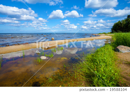Baltic sea coast 19588104