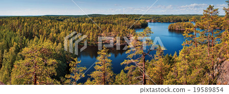 Finland forest Finland forest 19589854
