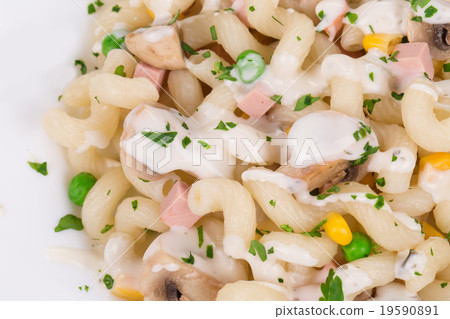 pasta cavatappi with vegetables 19590891