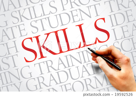 SKILLS 19592526
