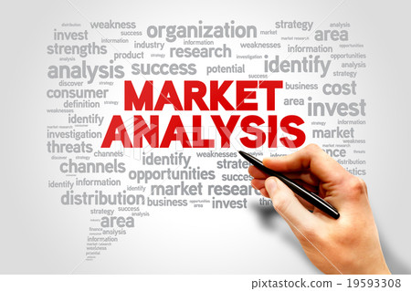 Market Analysis 19593308
