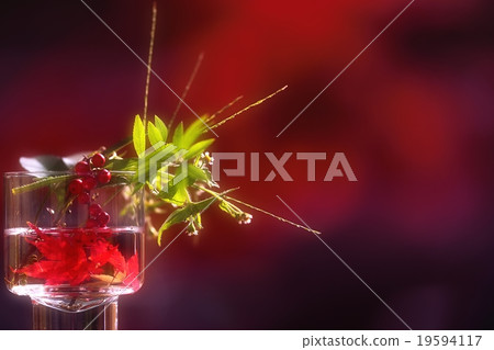Chic coloring and table decoration 19594117