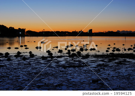 Marshes appearing at the low tide of Hamanaako Marshes appearing at the low tide of Hamanaako 19594125