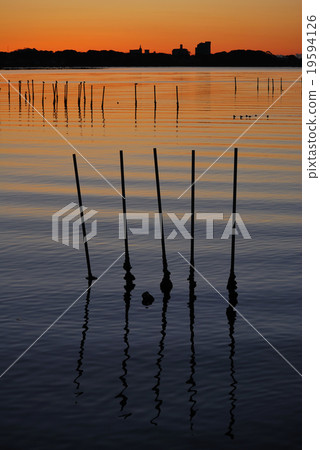 Gradation from lacquered vermillion to navy blue Gradation from lacquered vermillion to navy blue 19594126