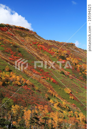 Mt. Taisetsuzan秋葉 19594825
