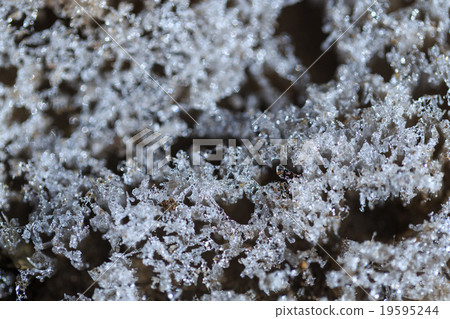 Frost pillar 2 19595244