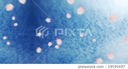 Cherry Blossoms Cherry Blossoms 19595497