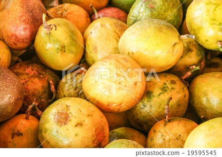 Passion fruit Passion fruit 19595545