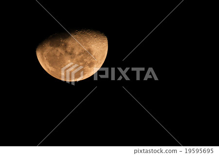 Half moon in the night 19595695
