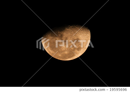 Half moon in the night 19595696