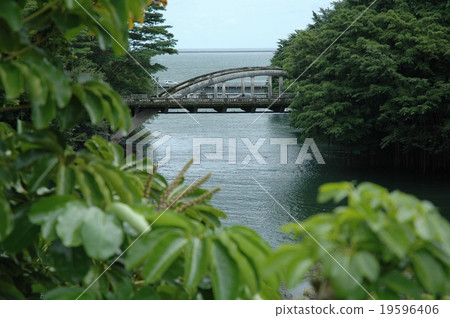 希洛/夏威夷島 19596406