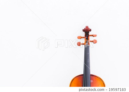 Selective focus and crop Classical cello on white Selective focus and crop Classical cello on white 19597183