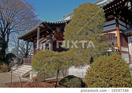 Aizenin Aizenin 19597386