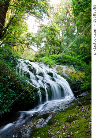 small waterfall in montane forest, Doi Inthanon  19598369