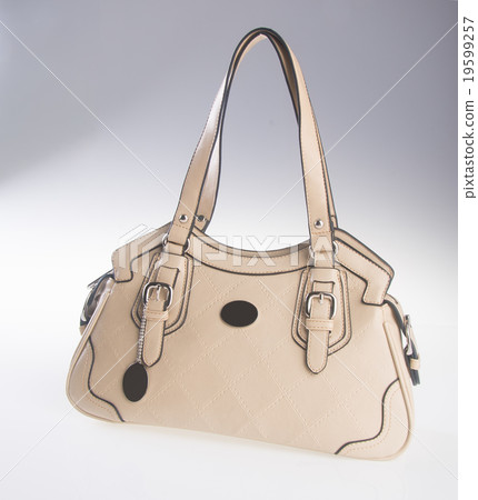 bag. women bag on a background bag. women bag on a background 19599257