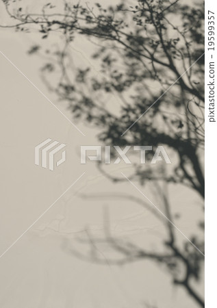 Tree Shadow. Tree Shadow. 19599357