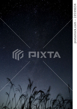 Susuki and the starry sky Susuki and the starry sky 19599834