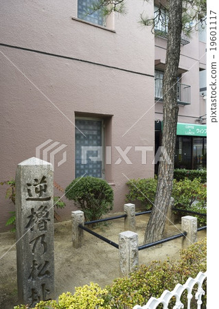 A pine trace of a reverse oar A pine trace of a reverse oar 19601117