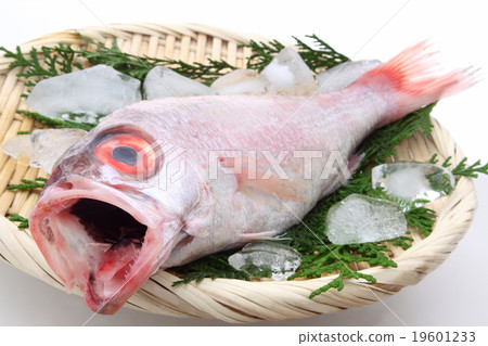 野黑郎 野黑郎 19601233