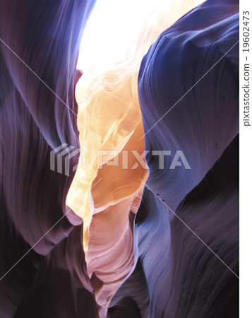 Antelope shining rocky skin 19602473