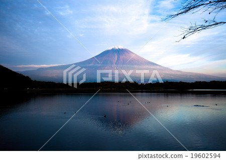 顛倒的富士 19602594