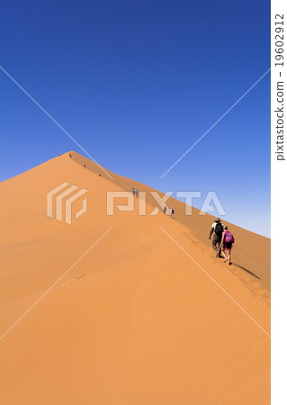 納米布沙漠沙丘45 19602912