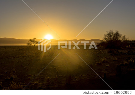 Sunset in the Namib desert 19602993