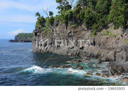 伊豆Jogakisaki海岸 19603003