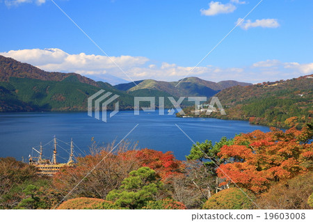 Autumn leaves of Ashinoko Autumn leaves of Ashinoko 19603008