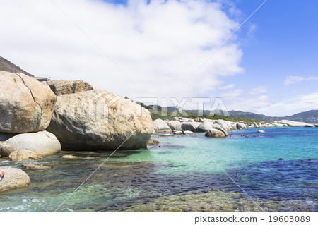 企鵝棲息地巨石灘 19603089