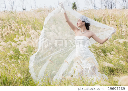 婚紗 19603289