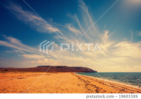 Wild deserted beach with cloudy sky Wild deserted beach with cloudy sky 19603389