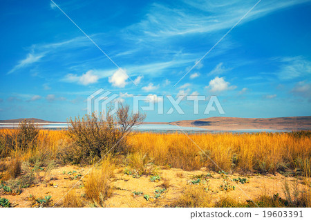 Beautiful lake in desert 19603391