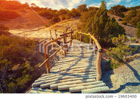 wooden bridge in autumn park 19603400