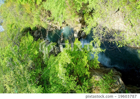 鮮綠的來來峽(宮城縣仙台市) 鮮綠的來來峽(宮城縣仙台市) 19603787