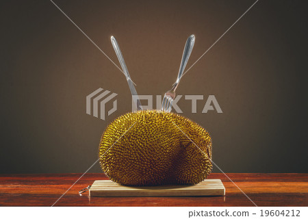 Jackfruit Time 19604212