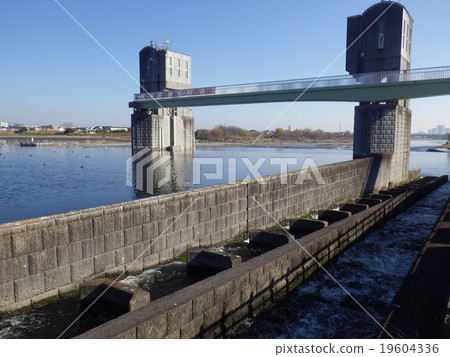 Fish road of Tamagawa river and Nigata Terukawara weir (Kawasaki city · Komae city) 19604336