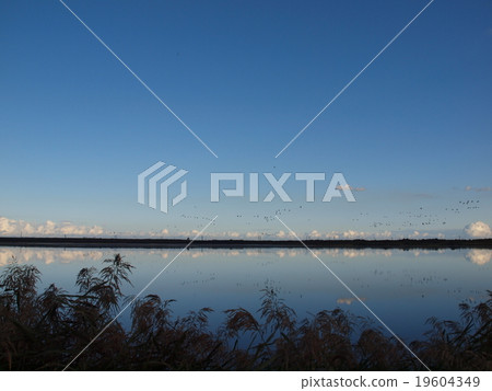 秋天的烏托奈湖2 19604349