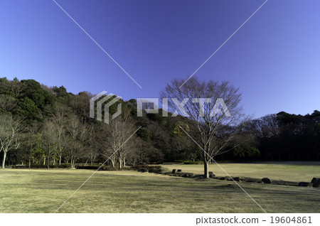 冬季公園 19604861