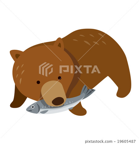拿著鯊魚的棕熊 19605487